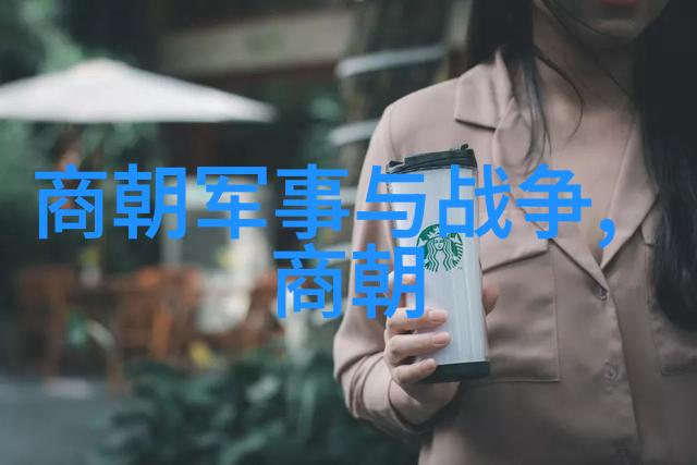 中国历史的长河朝代变迁的图景展开