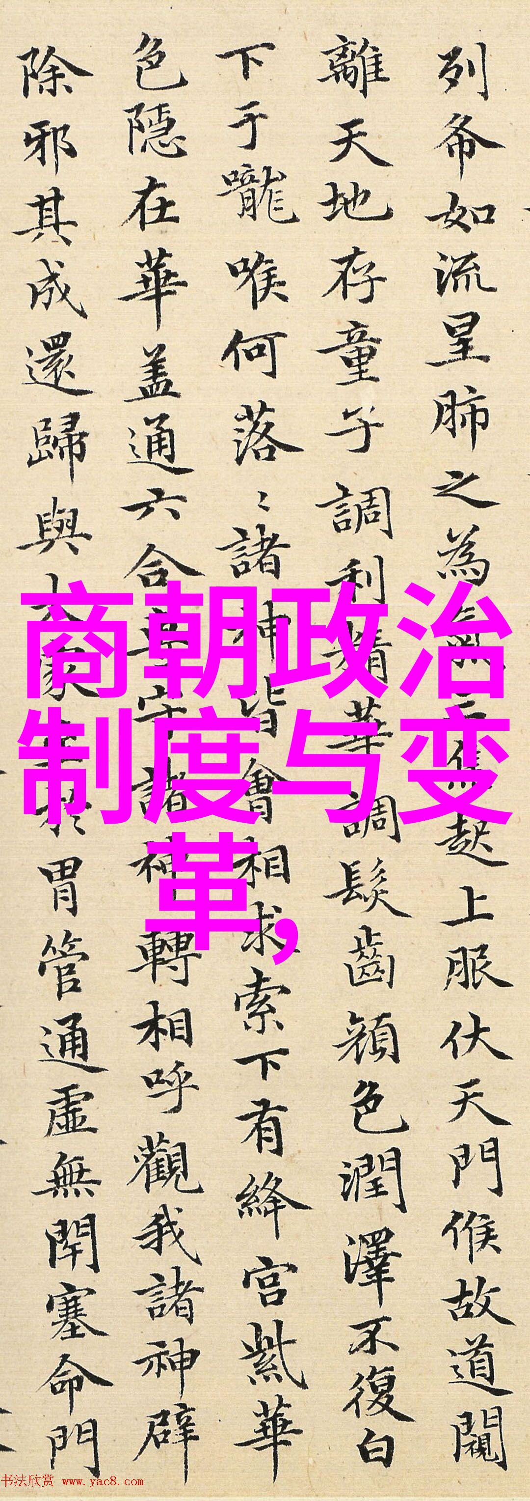 家有囍事喜庆生活的温馨瞬间