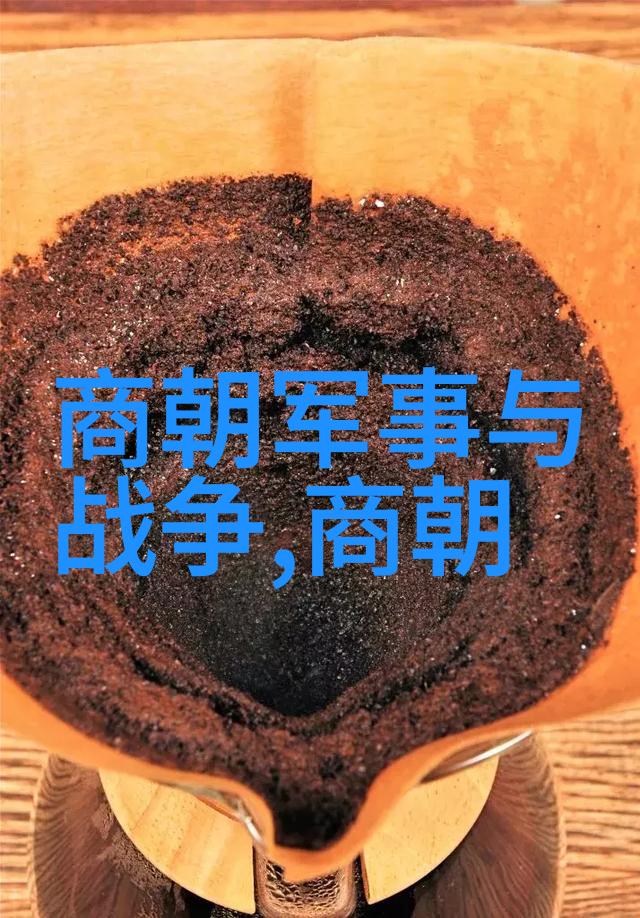 明朝无昏君崛起与灭亡的历史考察明朝政治稳定与经济衰退的相互作用