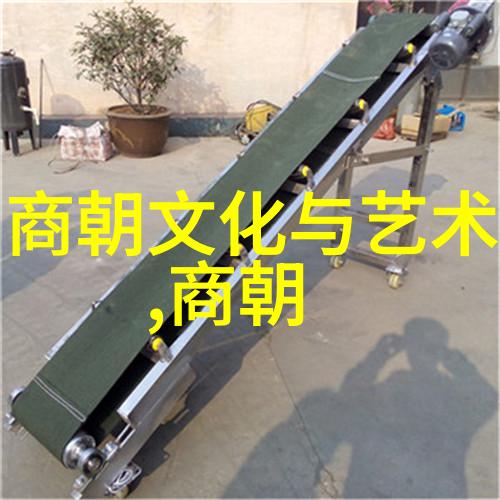纷扰朝代明光与尘埃的电子传说