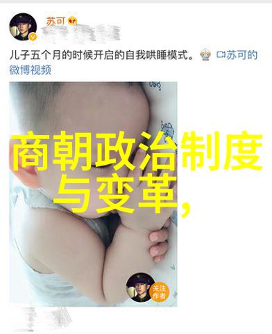 春秋战国历史人物介绍公子高嬴陕西名人追随嬴政成就华夏盛世前209年