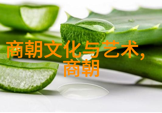 孙若微与其他皇帝宦官及妃子之间的关系又是怎样的