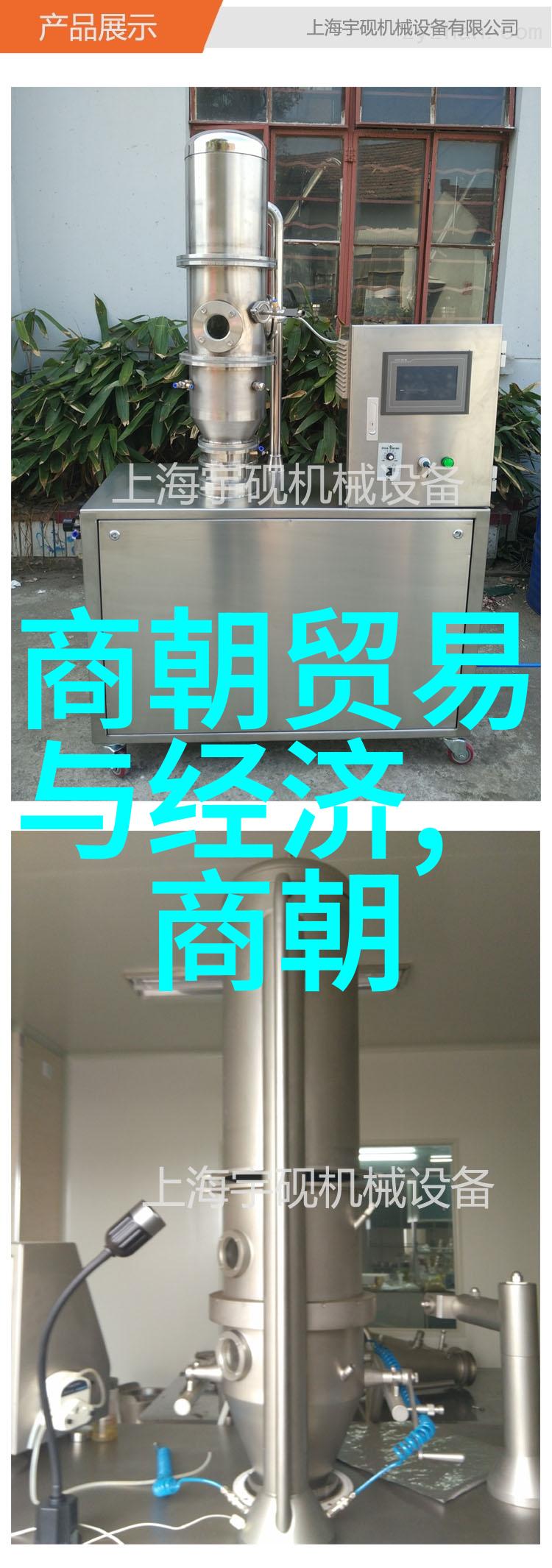 从征服疆土到铸就传奇解析朱祁镇之所以被誉为大明战神的历史与战略