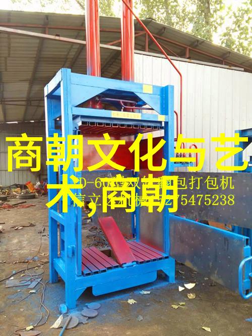 揭秘刘伯温真实死因历经风霜的数学家传奇终结