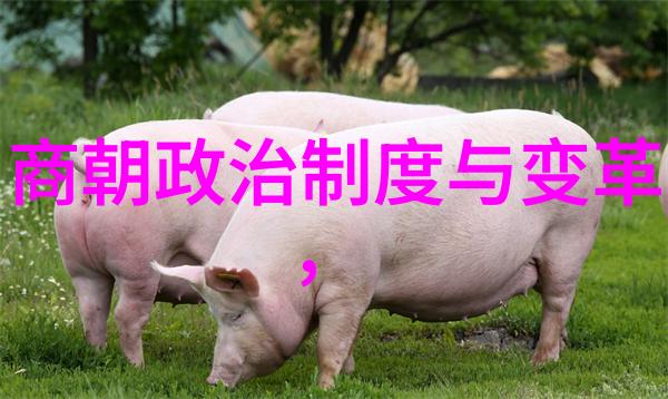 岁月静好明朝往事的悠然自得