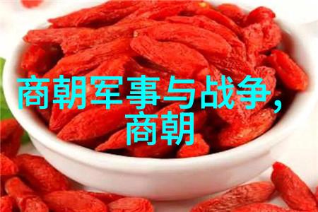 北元明朝正统之争与穿越时空的皇帝大赛