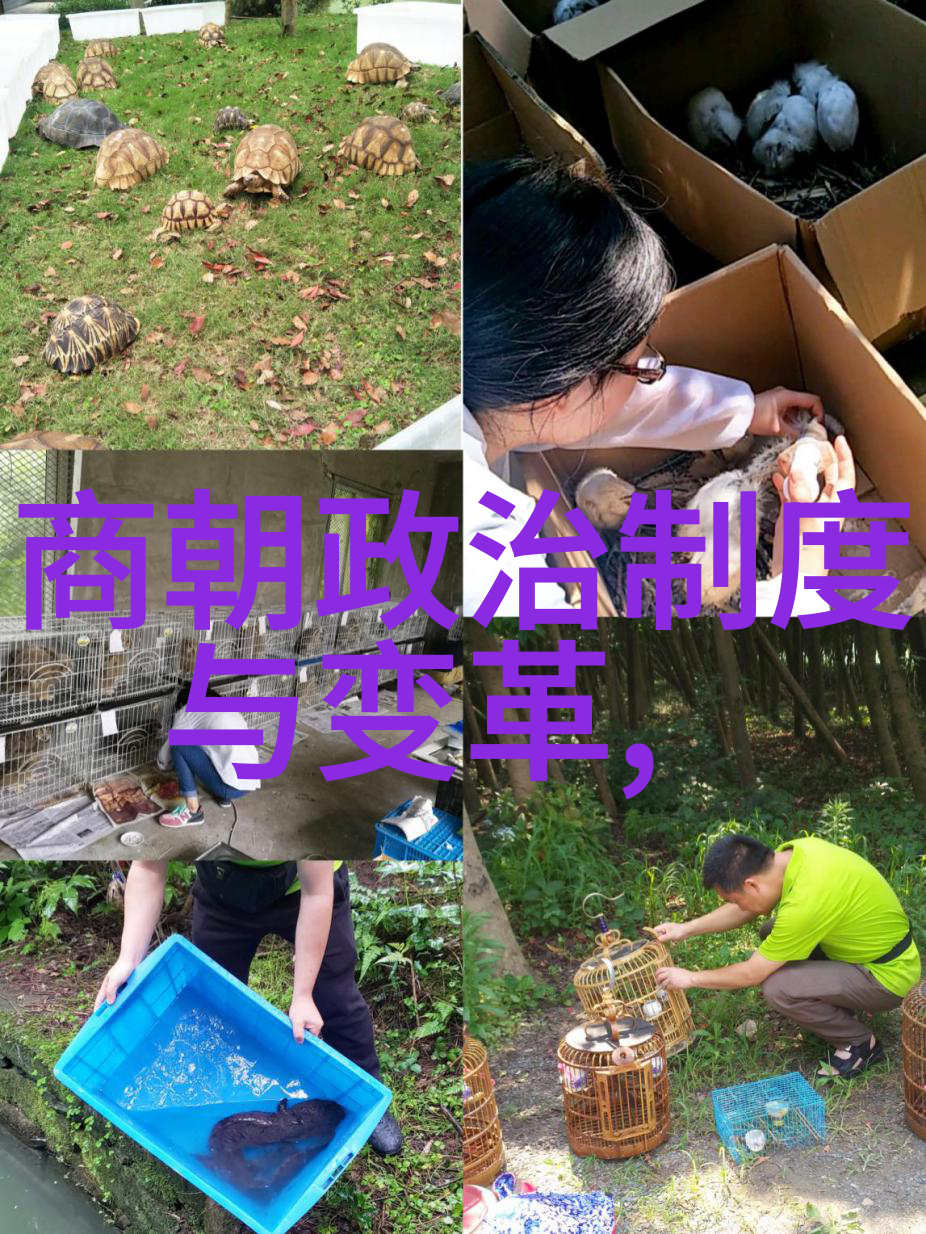 东周列国春秋篇中的宋桓公传奇统治者公元前651年之死