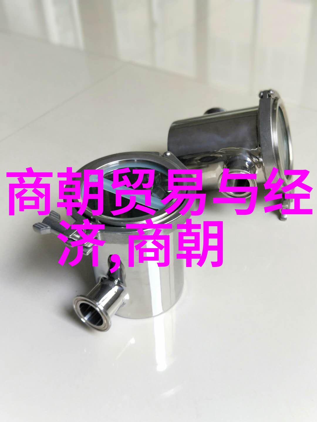 明朝的魅力探索国人对古代文化的现代情怀