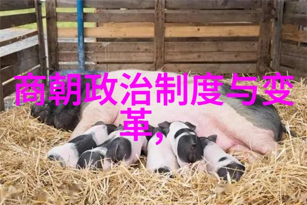 明朝那些事读后感大学历史的回音与青春的足迹