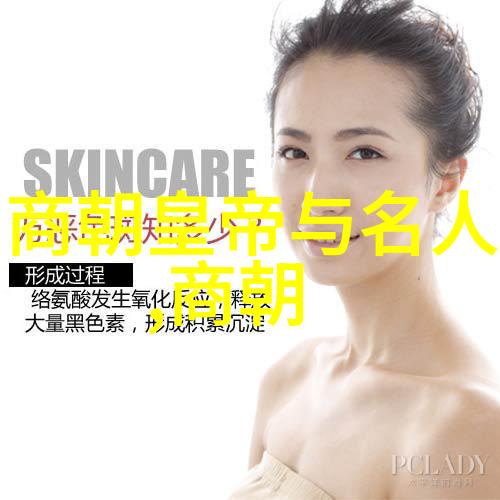 朱元璋的选择揭秘为何不封皇位给朱棣
