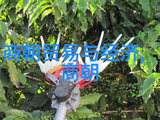 两颗黑葡萄的诱惑