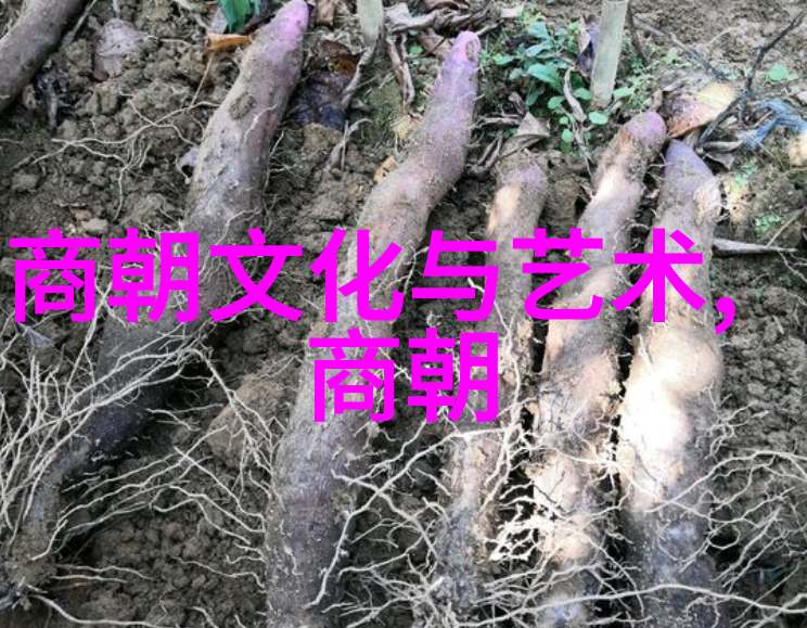 织就命运断送青春重构清宫失势者中的孤儿故事清宫史上的孤儿故事