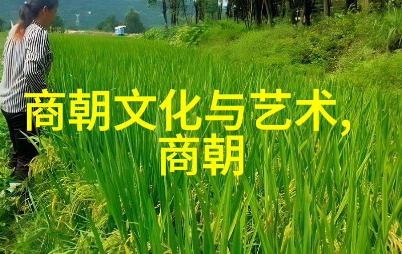 终结的序章北宋衰落之谜
