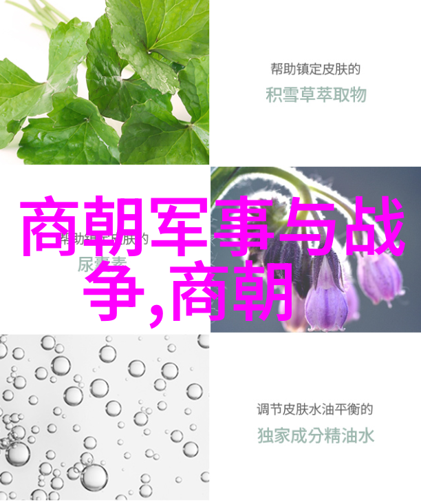南明朝-顺序列表 明亡继立的王朝谱系考