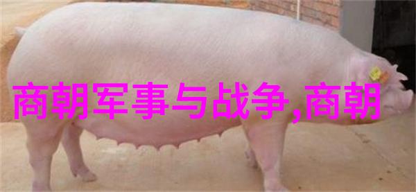 南明朝监国大侠笑傲江湖哭泣宫廷