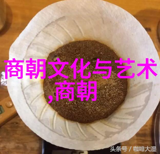 朝代交替之谜解锁明朝帝王年号的秘密