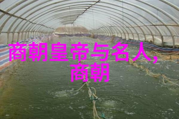 元朝灭亡后皇室公主下场我是最后一位公主元朝的末日与我的故事