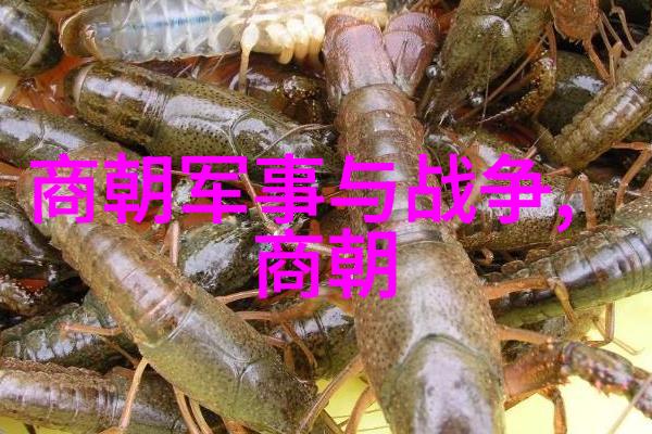 明朝那些事儿电子书下载全集免费咱们一起来探秘明朝那些不可思议的事迹吧