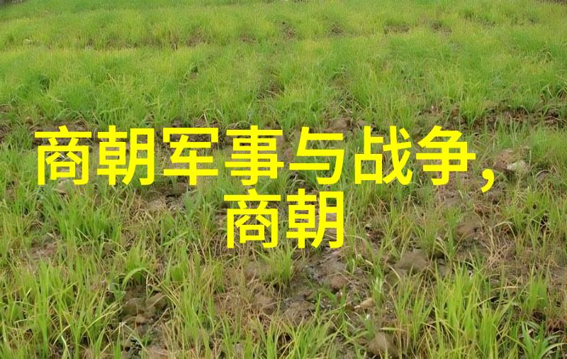 明朝的辉煌与衰落历史之谜如何解开