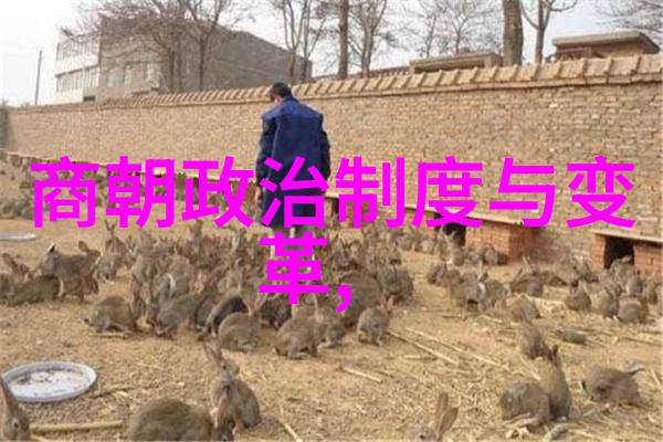 朱棣夺位是正确的吗明朝权力斗争中的朱棣登基事件考量