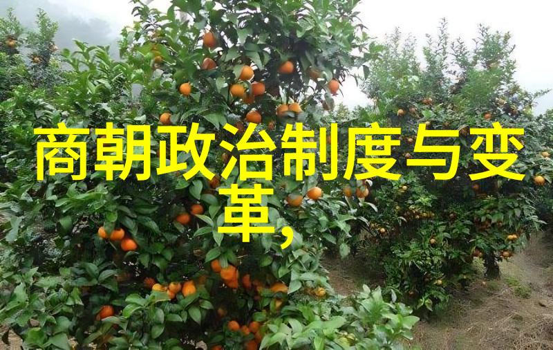红色岁月里的故事片段