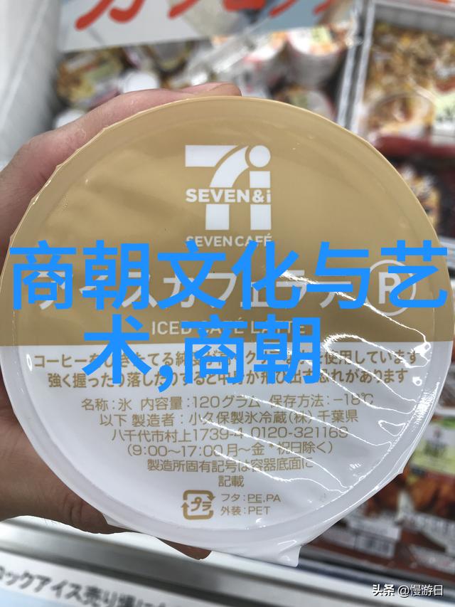 三国交锋两晋风云下的孛儿只斤拙赤合撒儿一段神秘历史的迷雾之中(1164)