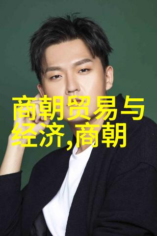 明朝辉煌与暗影无昏君之谜