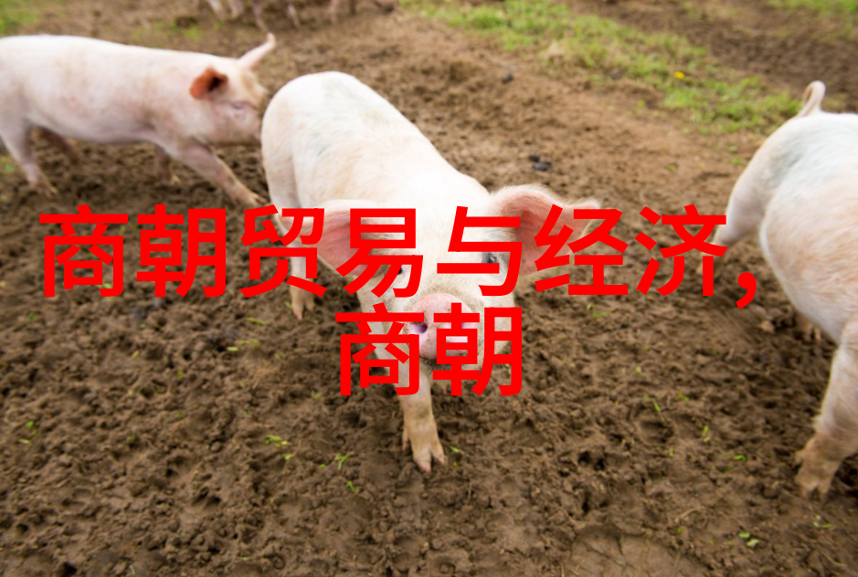 明朝的耻辱土木堡-土木堡之变揭开明朝衰败的序幕