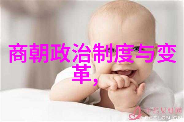 明朝那些事儿王更新免费听历史小说网游明朝故事