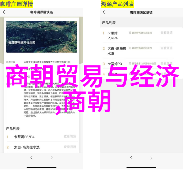 明朝风华锦衣卫的荣耀与民间疾苦