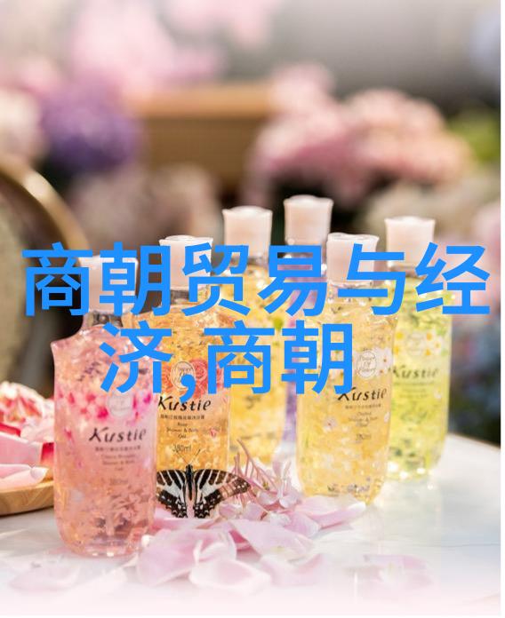 乾隆帝的百美佳人皇家后宫中的100位女人