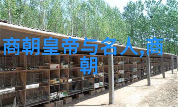 探秘中华文明的源远流长从黄河流域到五千年的辉煌