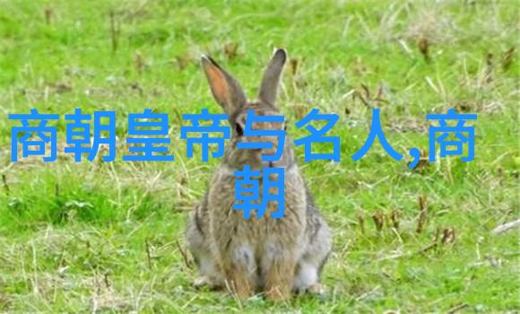 清代帝王的治国理念与文化成就