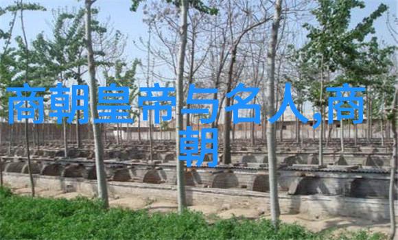 人生选择的大门他她当时为什么会选择打开某个大门而不是另一个这个决定后来给了他们什么样的结果呢