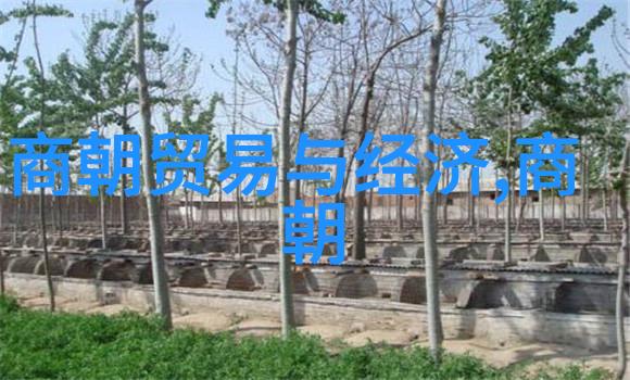 清初以后的多次抗倭斗争为中国近现代政治文化奠定了什么基础