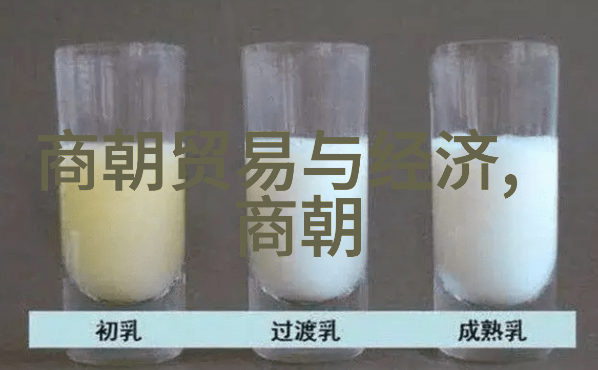 元朝科举我是怎么考进元朝的