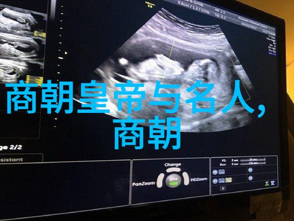 明朝开启元朝的终结与新纪元的诞生