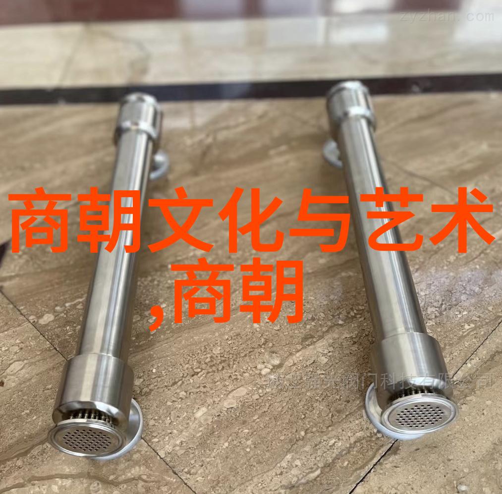 继承者或叛逆者 随着时代更迭两位君主背后的故事何去何从
