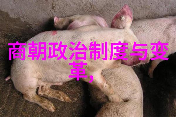 明朝的排列顺序一场历史的舞蹈