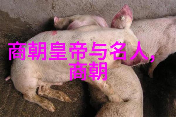 一视同仁的名人故事邵金帝星光下的平等之心