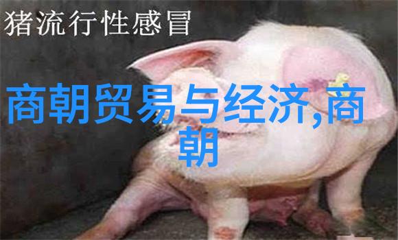 外患与内忧蒙古人的南下对宋朝命运有何影响