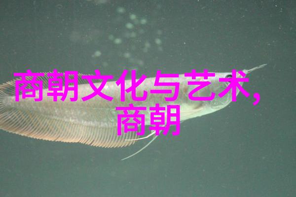 王姓历史名人阿尔伯特卡尔梅特与其对立面