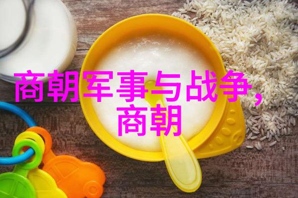 元代的辉煌与传奇一段历史的回顾