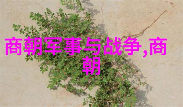 中华上下五千年王猛扪虱谈天下共赏5则古代神话故事的精华