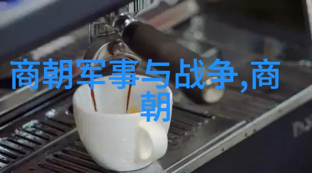 中国历史简表图 - 时空穿梭揭秘中国历史简表图的艺术与智慧