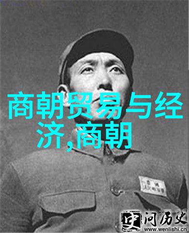 明朝宫廷中的暗流一位宫女的谋杀秘史