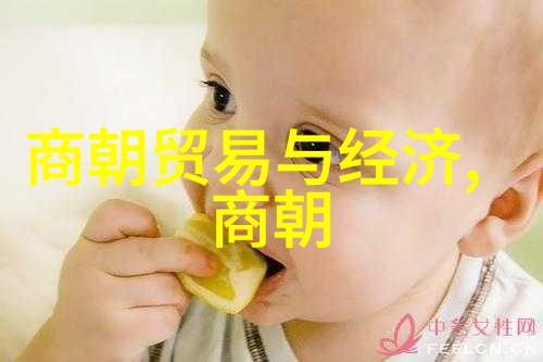 宋朝交界六国争鸣