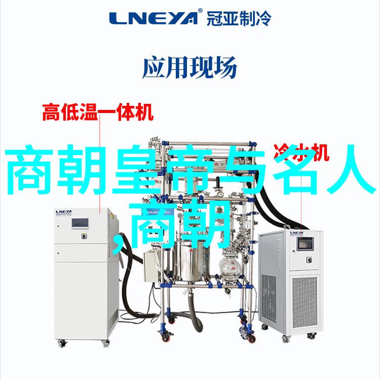 辉煌的元朝风华探秘好看的历史篇章
