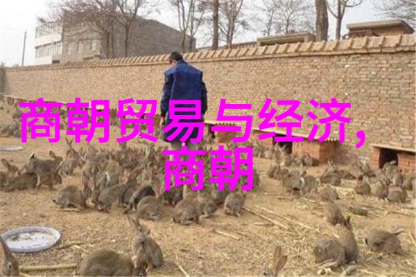 成长故事-爸爸的包里我成长的第一步