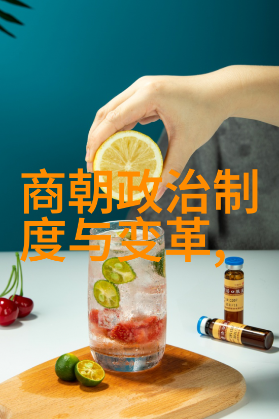 皇帝的沉默乾隆时期对雍正王朝的遗忘与记忆